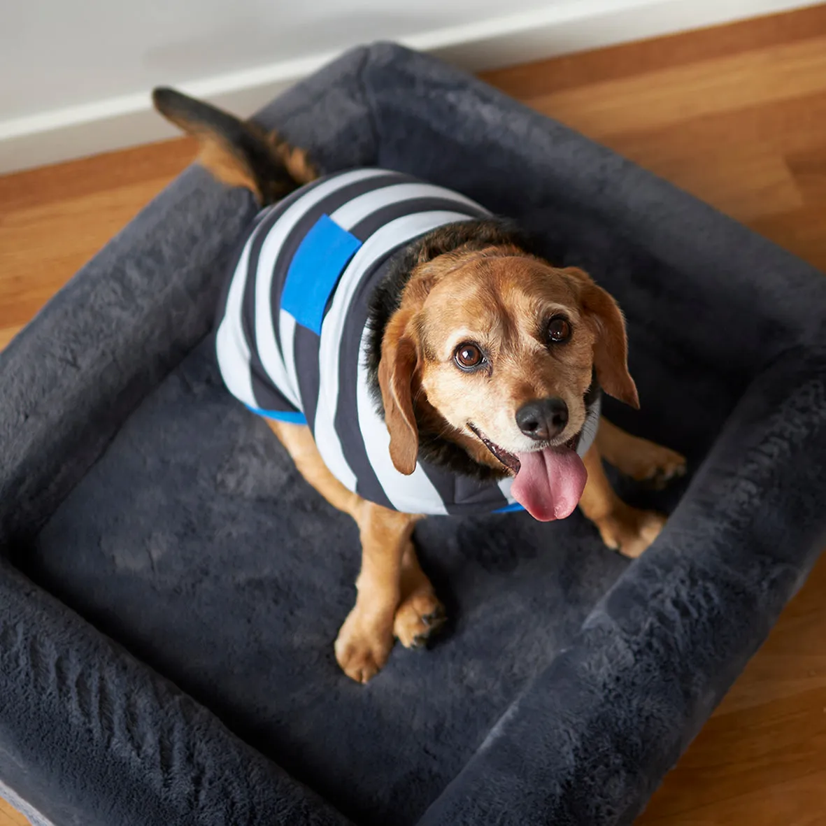 Chunky Stripe Dog Snuggie