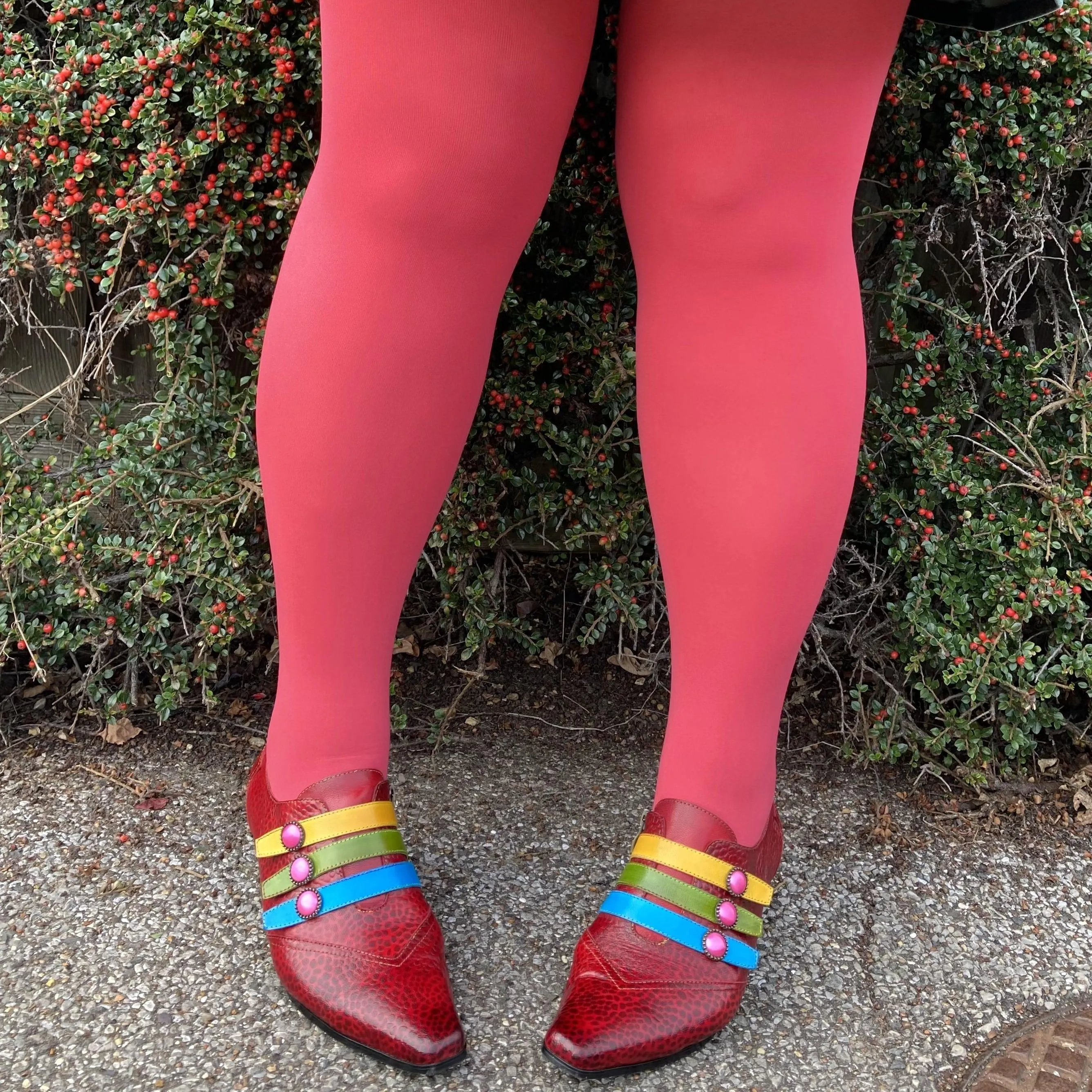 Opaque Tights - Favorite Colors