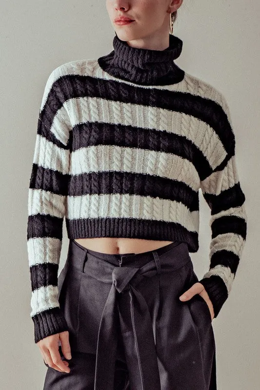 Turtleneck Striped Knit Cropped Sweater