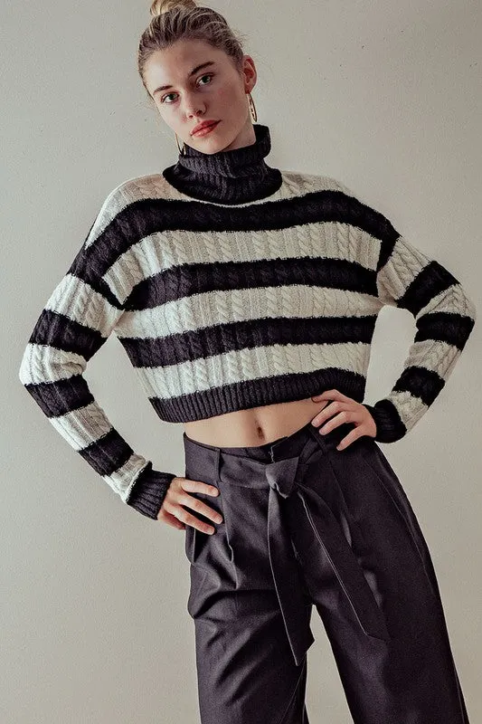 Turtleneck Striped Knit Cropped Sweater